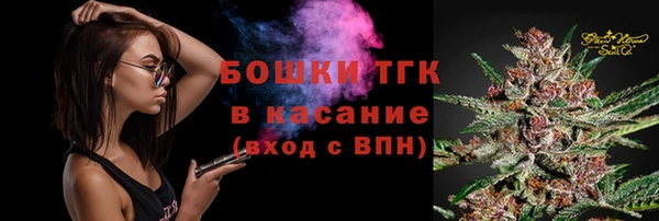 сатива Богородск