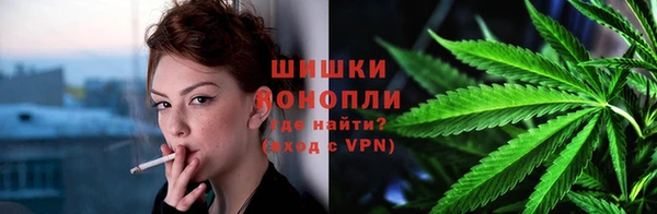 дмт Богородицк