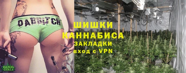 дмт Богородицк