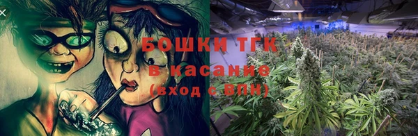 сатива Богородск