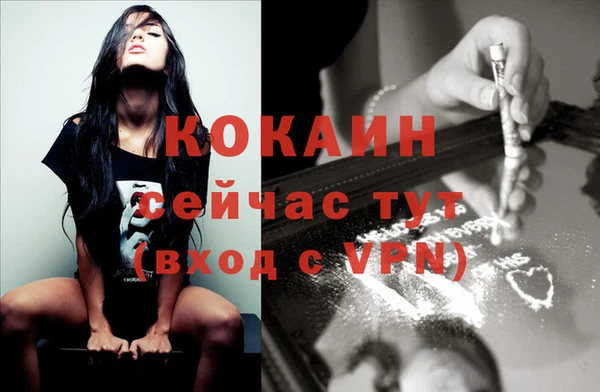 спайс Богданович