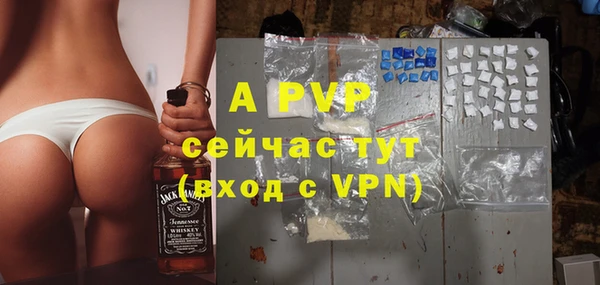 спайс Богданович