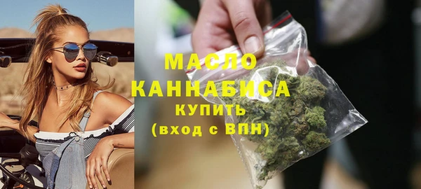 дмт Богородицк