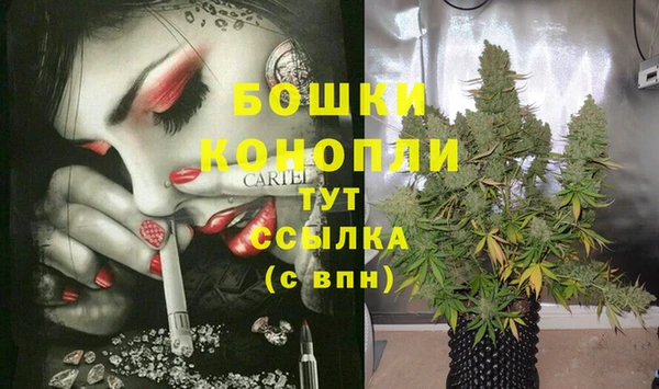 дмт Богородицк